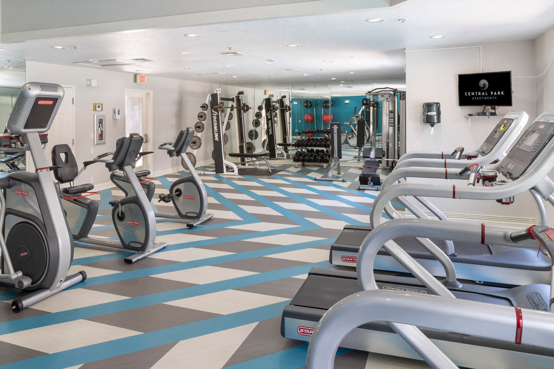 Central Park Image 8