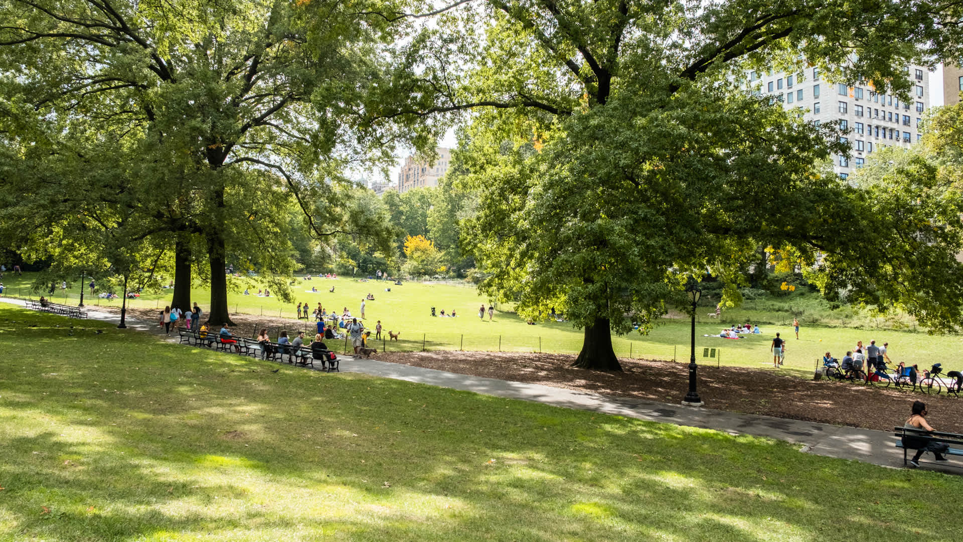 Parc Coliseum Image 36