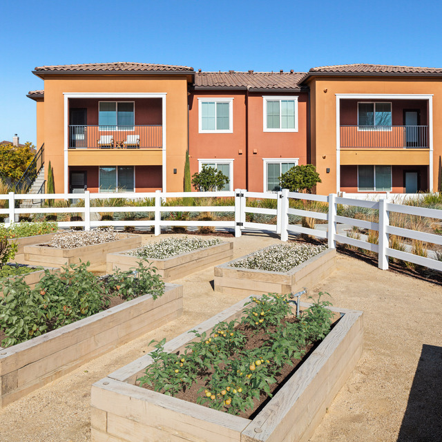 Harvest in Tracy Image 3