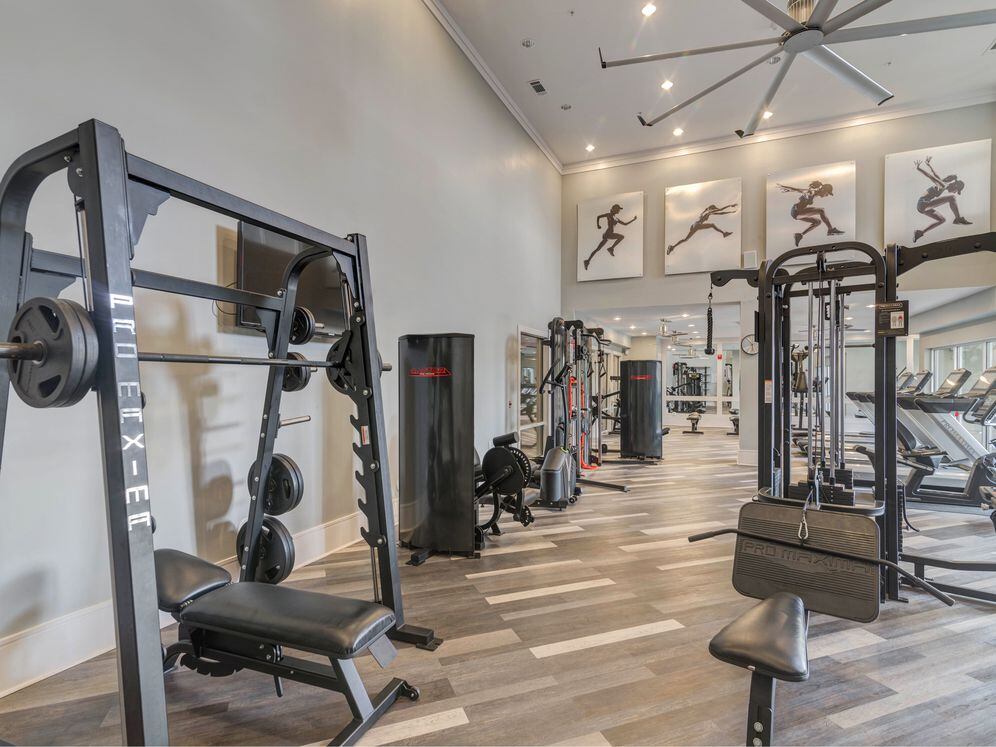 State-of-the-art fitness center with strength equipment