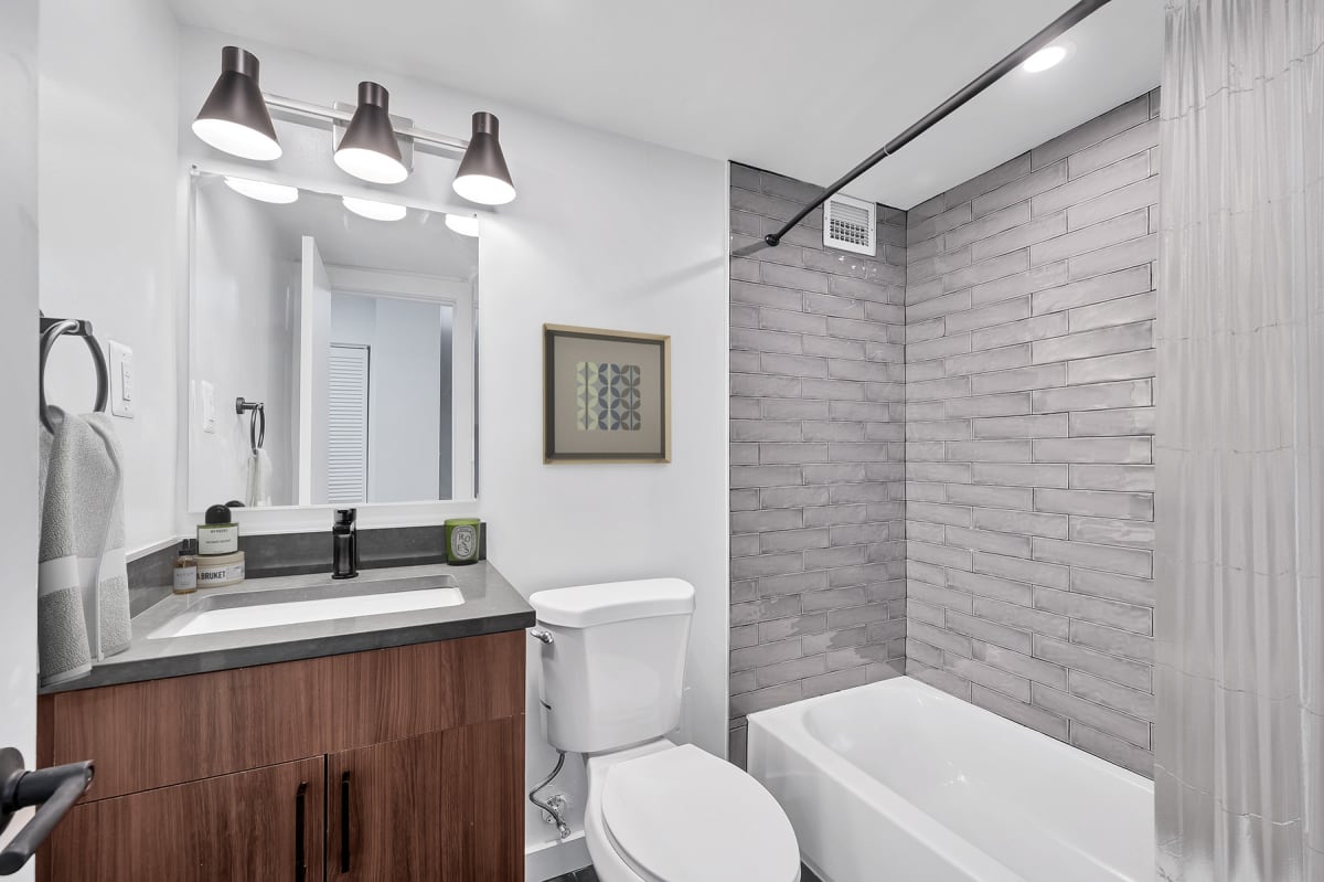 The Horizons Image 12