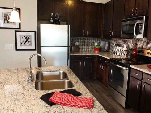 Stainless and Black Appliances