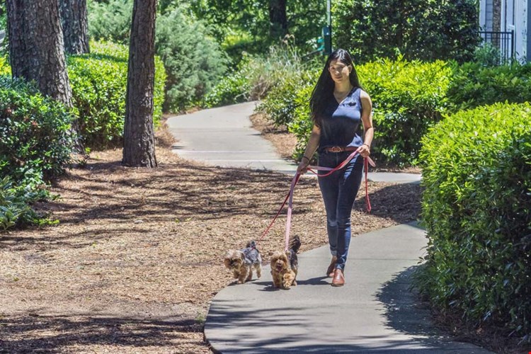 Camden Creekstone Image 23