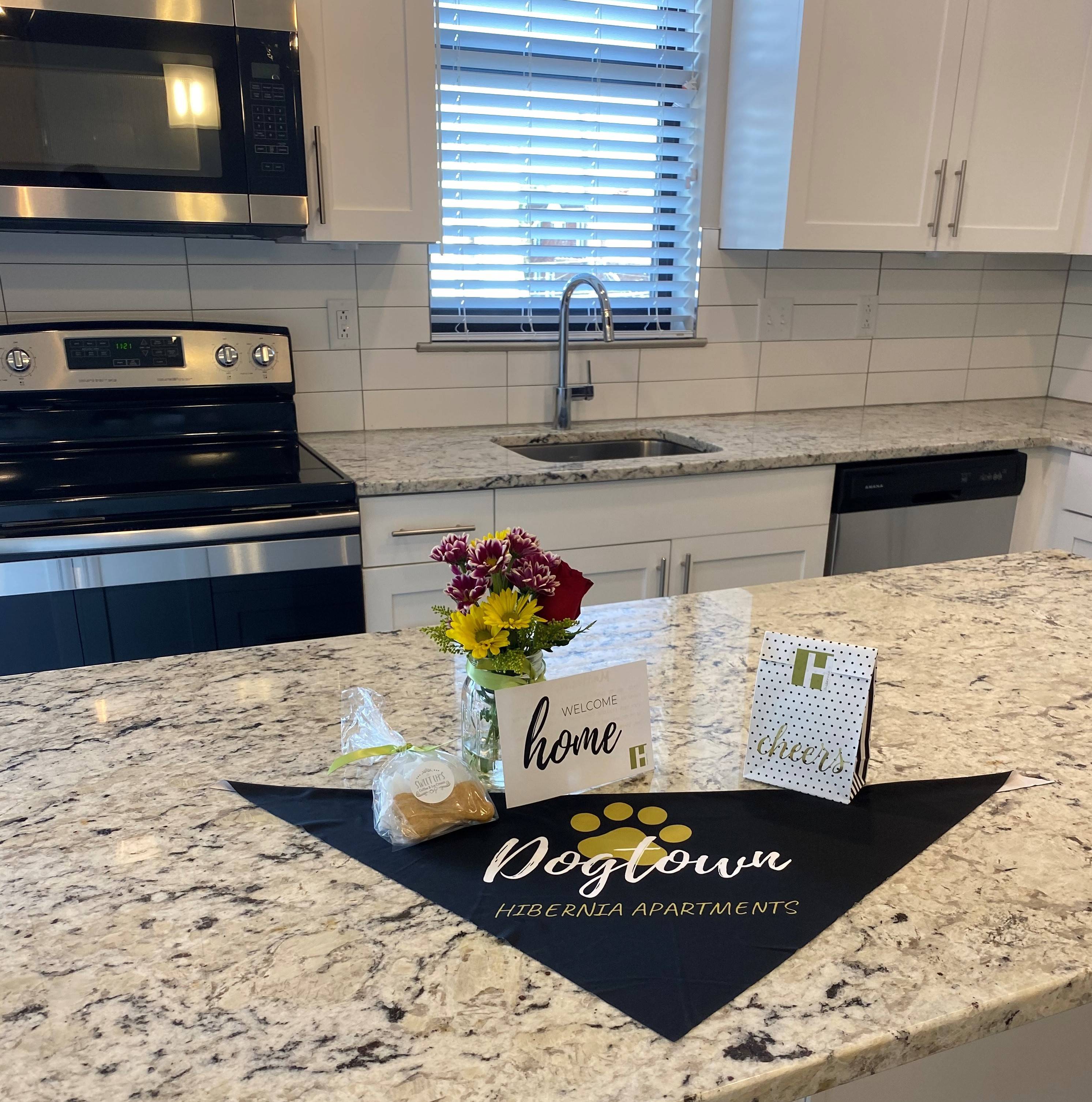 Hibernia Apartments Image 8