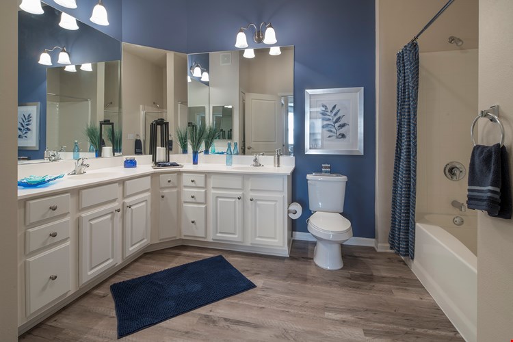 Apartments At Citywalk At Woodbury Woodbury