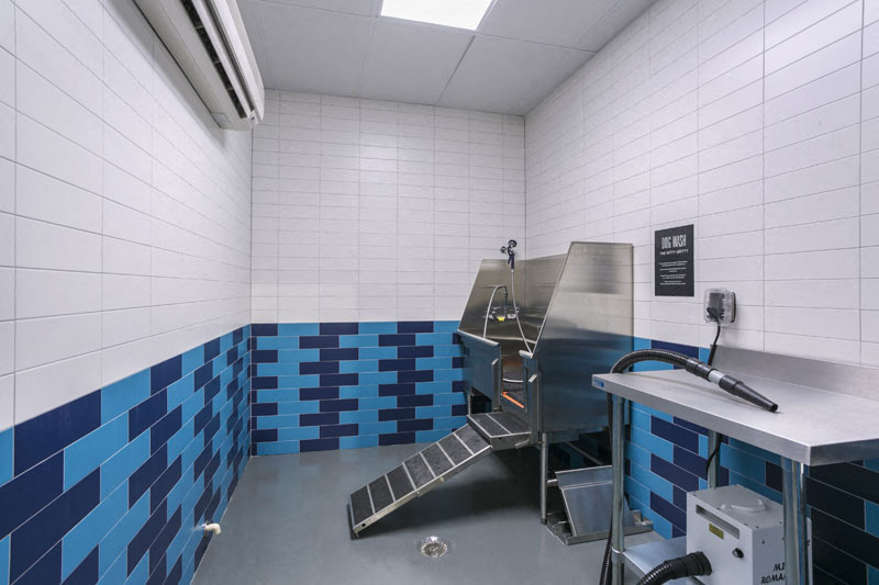 7/S Denver Haus Image 45