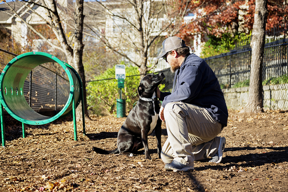 Camden St Clair Image 20