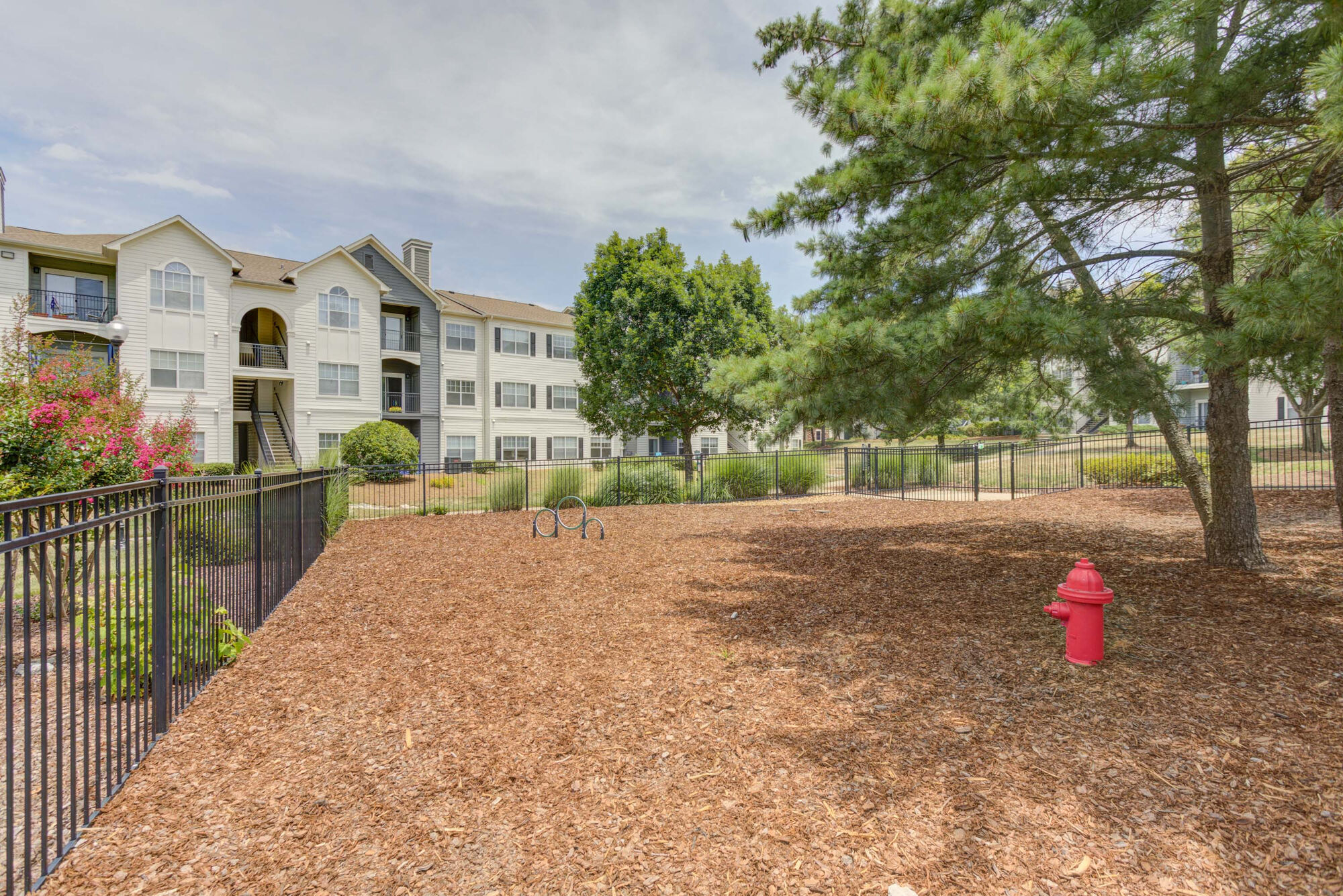 IMT Cool Springs Image 41