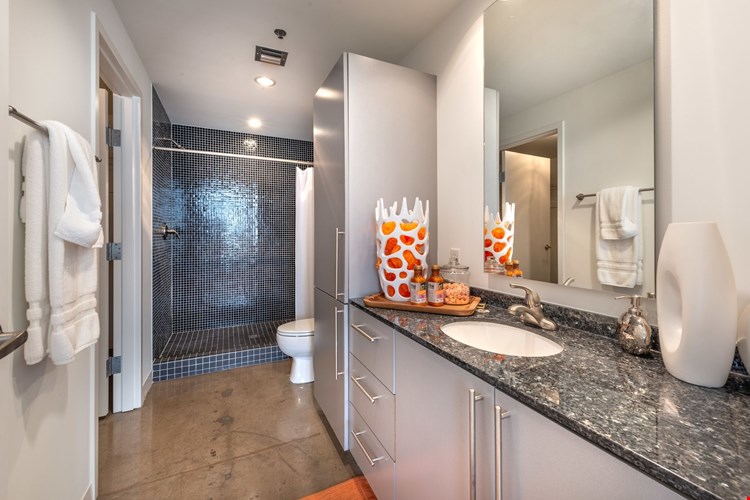 Mosaic Dallas Image 30