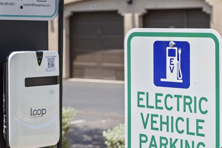 Camden Foothills Image 39