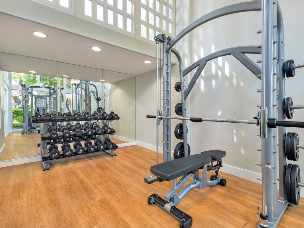 Fitness center with strength equipment
