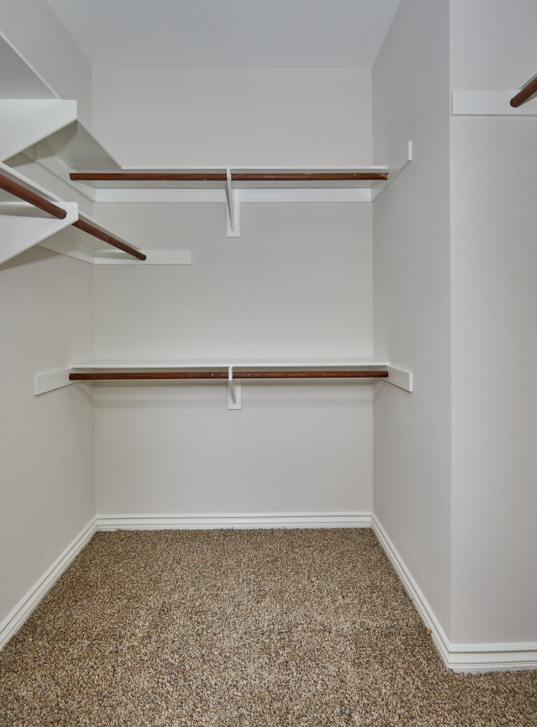 IMT Belasera at Superior Image 8