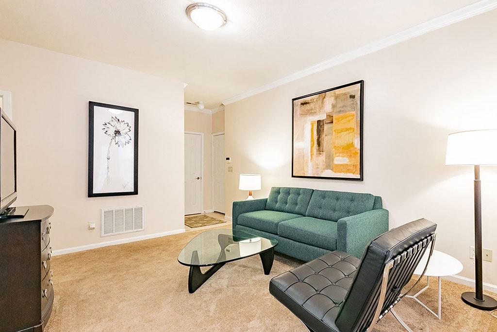 Elevate on main Image 11