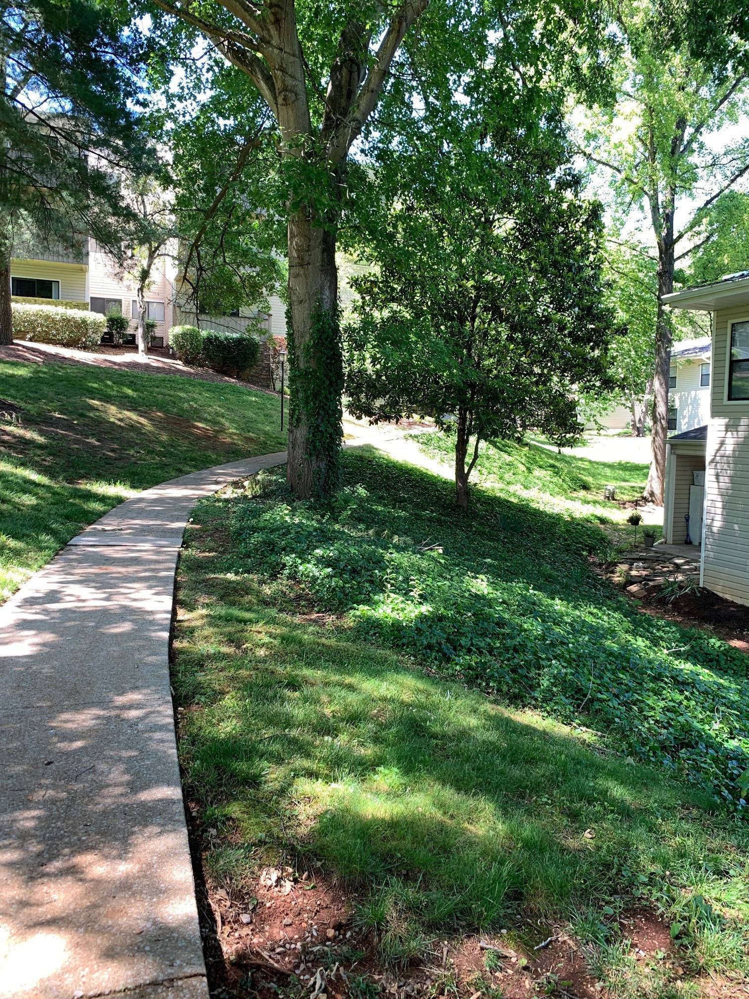 Mountain View Image 23