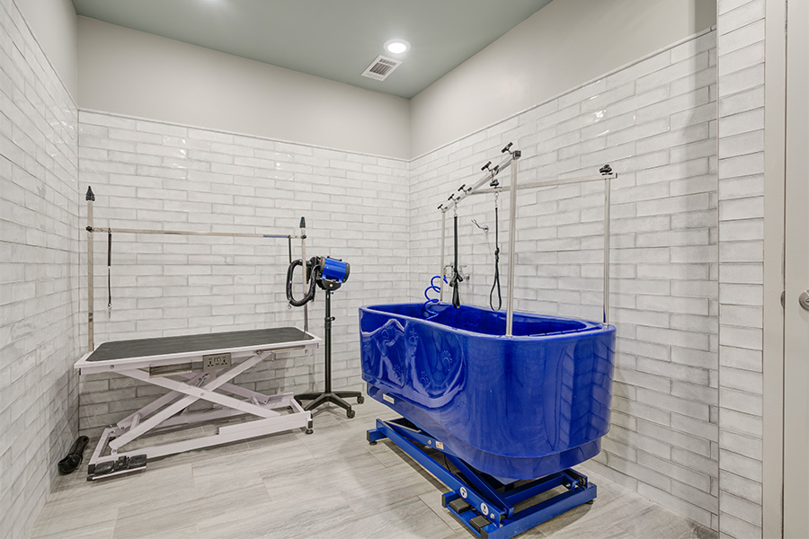 Constellation Image 19