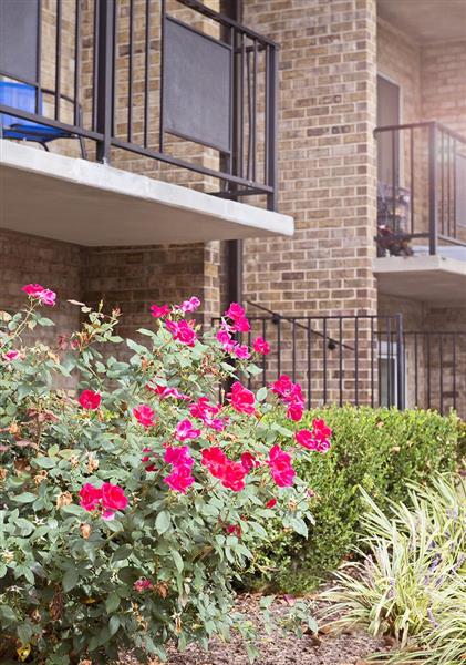 Gatewater Landing Image 16