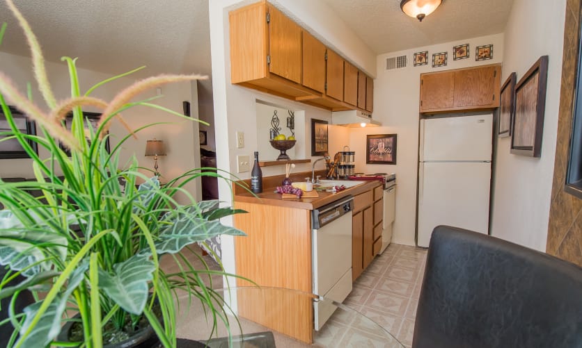 Sunchase Ridgeland Apartments Image 4