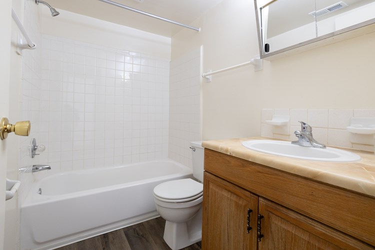 2 Bedroom Bathroom at Woodlake Apartments
