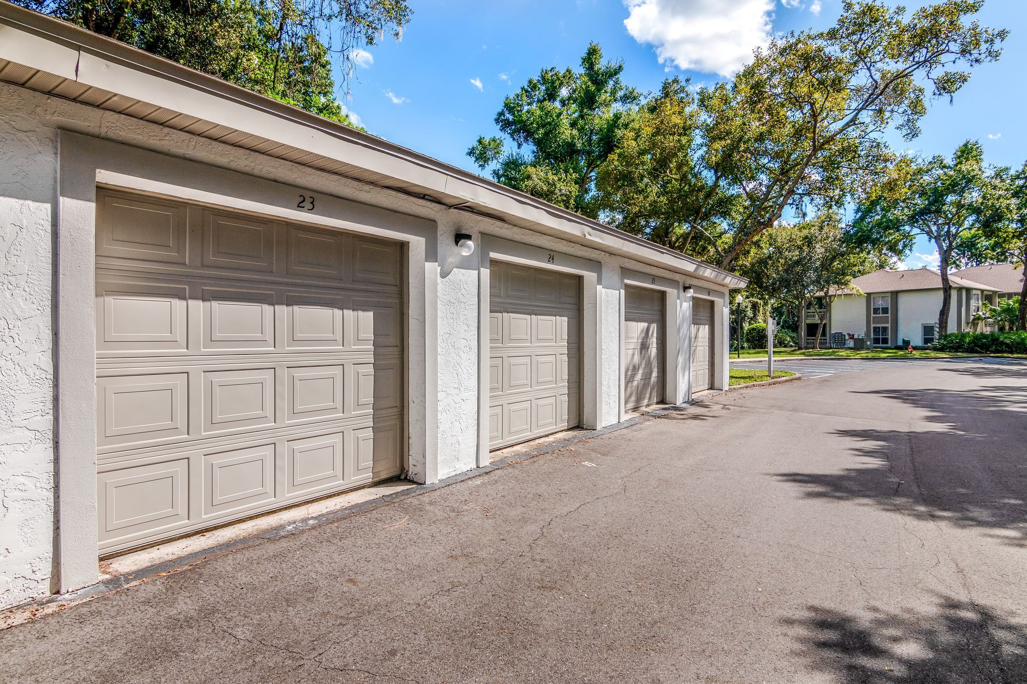 Arium Citrus Run Image 25