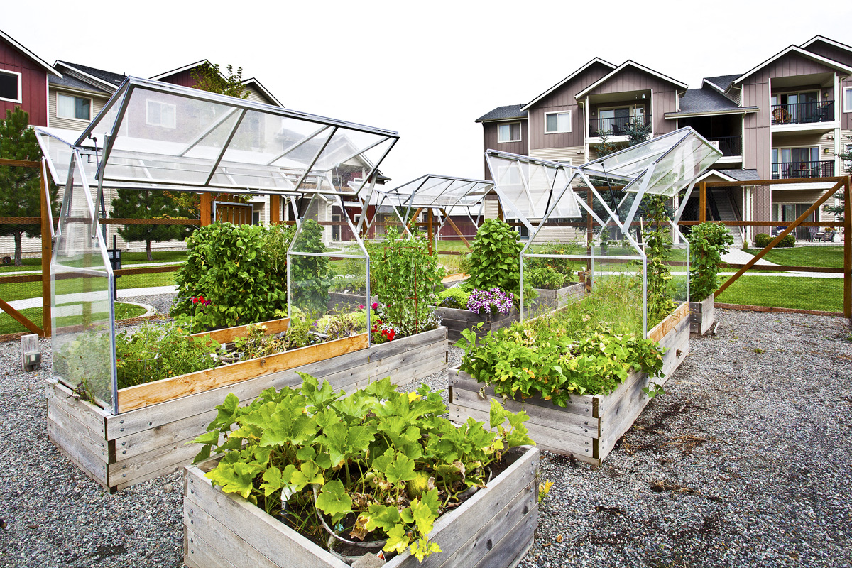 Private Pea-Patch Garden
