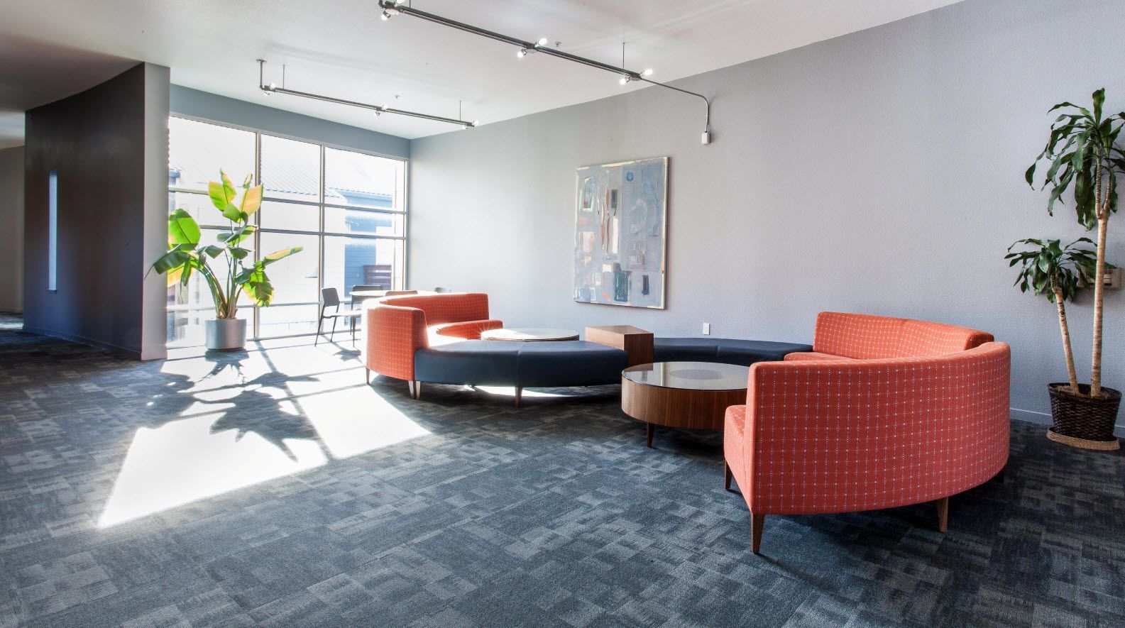 Soma Residences Image 9