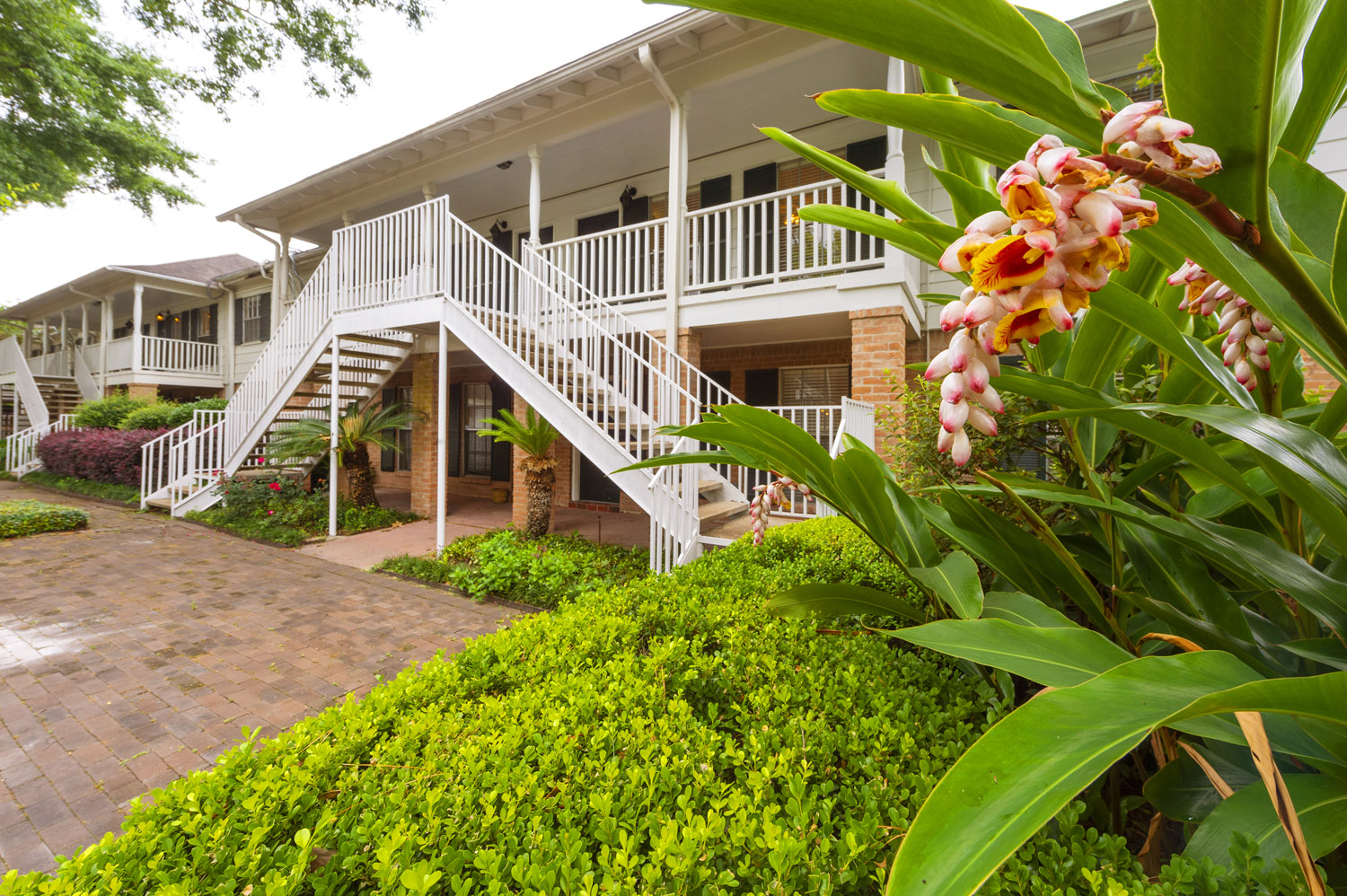 Memorial Creole Image 2