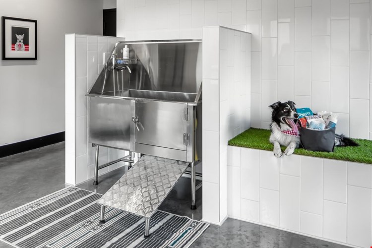 Rafter Apartments Image 15