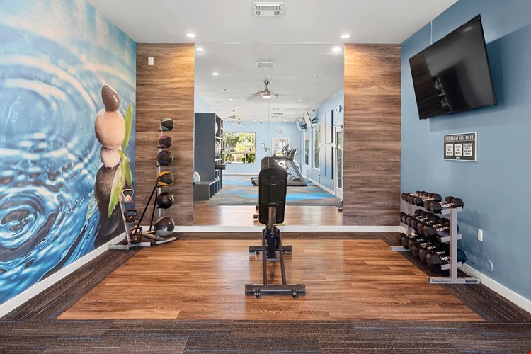 Enjoy our semi-private weight training space fully stocked with free weights and medicine balls.