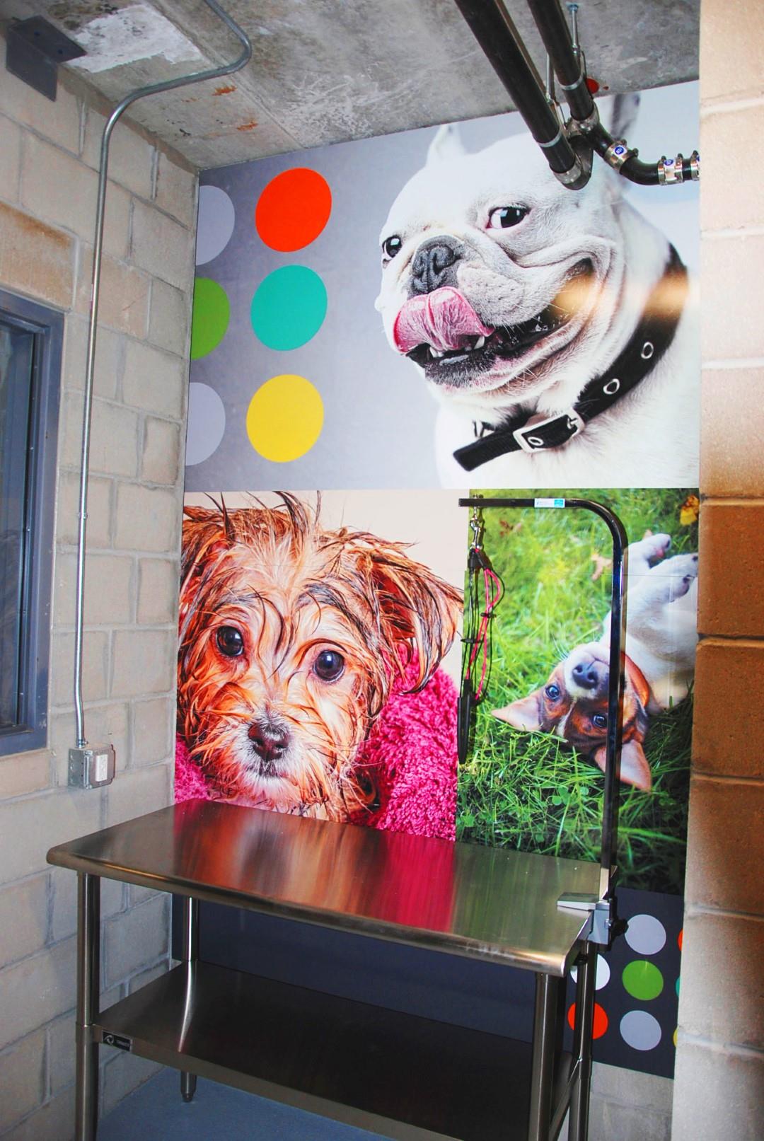 Elements of Linden Hills Image 19