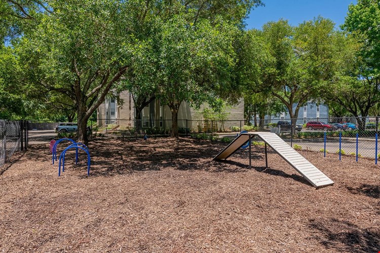 Bring your furry friend down to our off-leash dog park for some fun! They can utilize our agility equipment or meet new doggy friends.