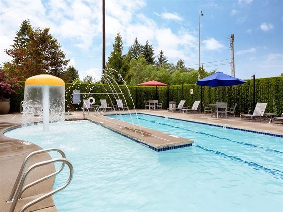 Tarmigan at Wapato Creek Image 3