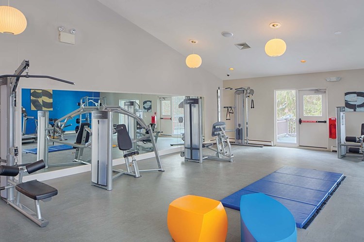 Fitness center with weight machines and free weights
