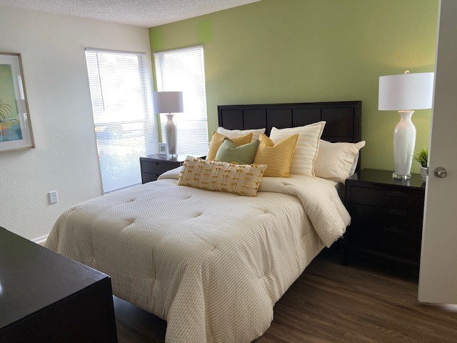 Lake in the Woods Image 6