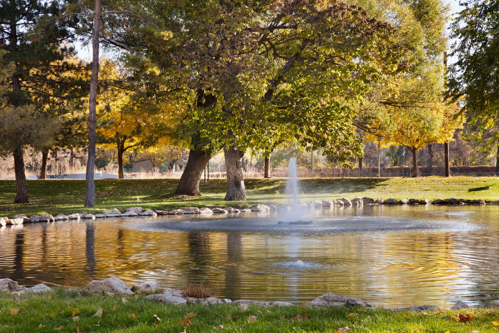 The Grove Image 19