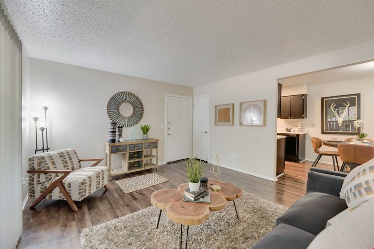 The Park at Wintergreen Apartments | DeSoto, TX | Spacious Living Room