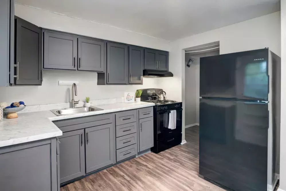 Janet Circle Image 4