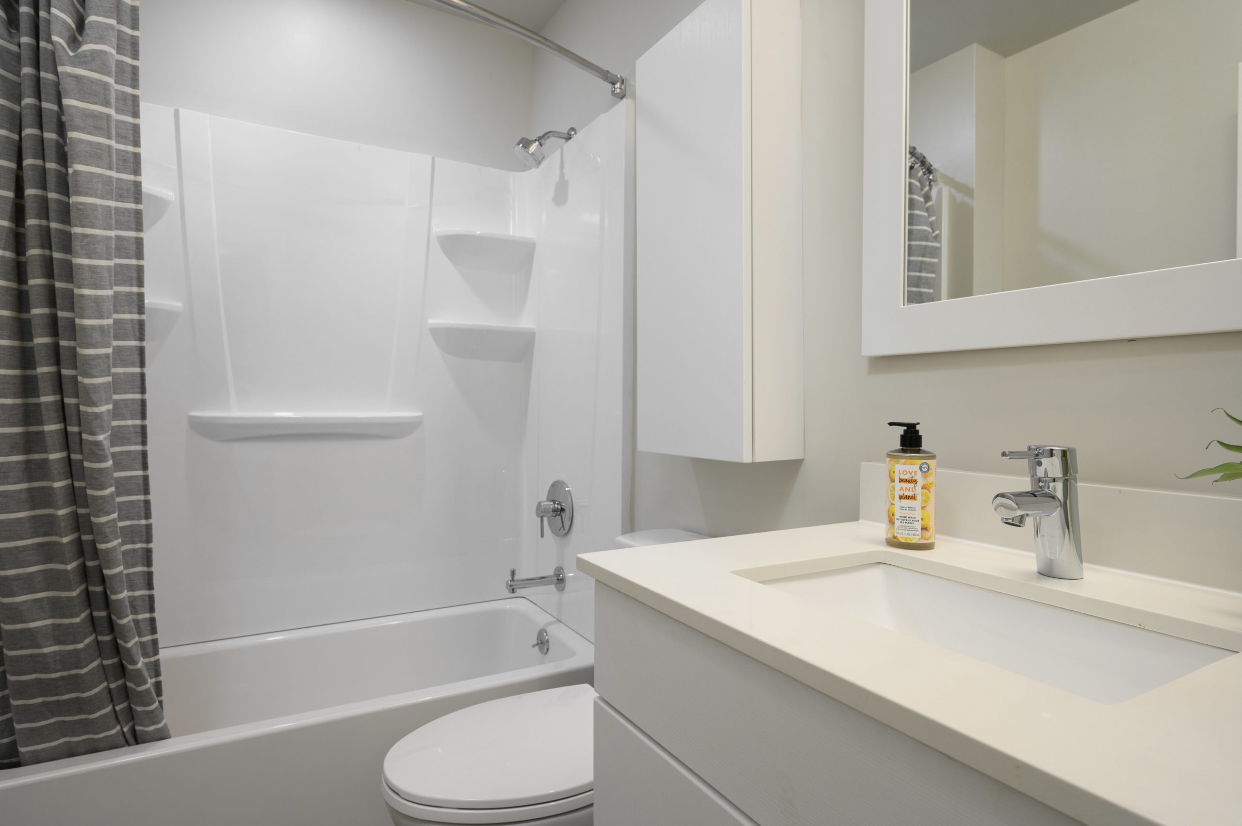 Chestnut Terrace Image 5