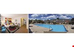 find apartments for rent at peppermill farms